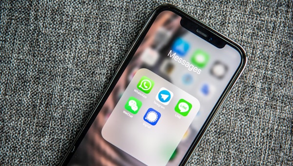 FlyB — WhatsApp Business